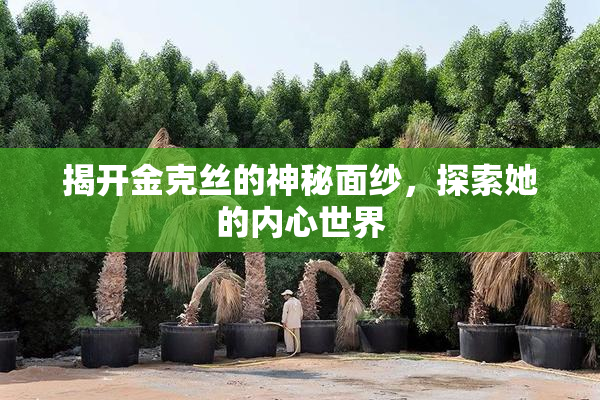 揭开金克丝的神秘面纱，探索她的内心世界
