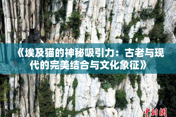 《埃及猫的神秘吸引力：古老与现代的完美结合与文化象征》