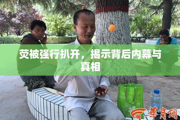 荧被强行扒开，揭示背后内幕与真相