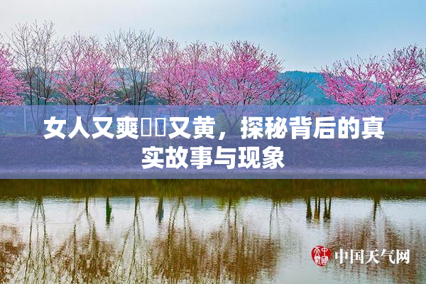 女人又爽❌‌又黄，探秘背后的真实故事与现象