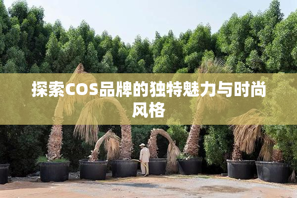 探索COS品牌的独特魅力与时尚风格