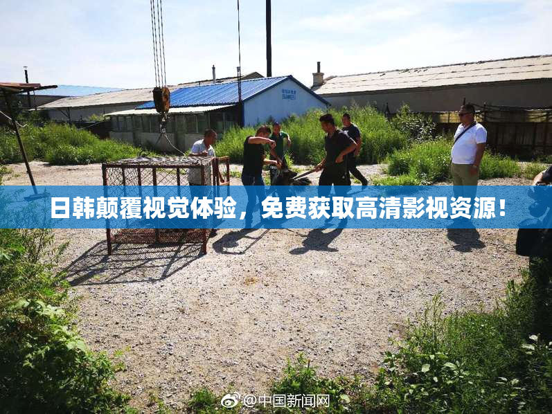 日韩颠覆视觉体验，免费获取高清影视资源！