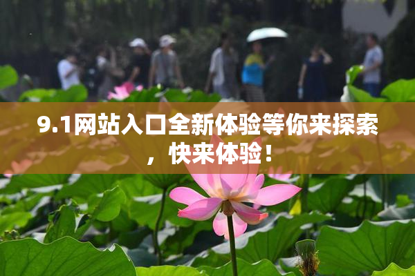 9.1网站入口全新体验等你来探索，快来体验！