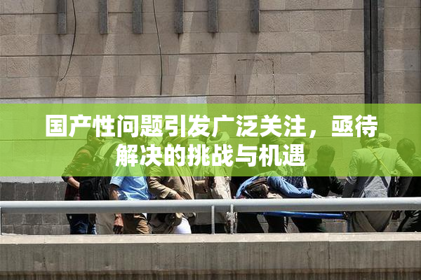 国产性问题引发广泛关注，亟待解决的挑战与机遇