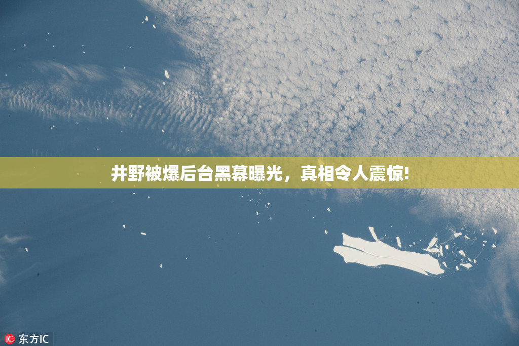 井野被爆后台黑幕曝光，真相令人震惊!