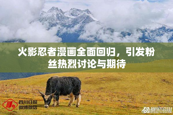 火影忍者漫画全面回归，引发粉丝热烈讨论与期待