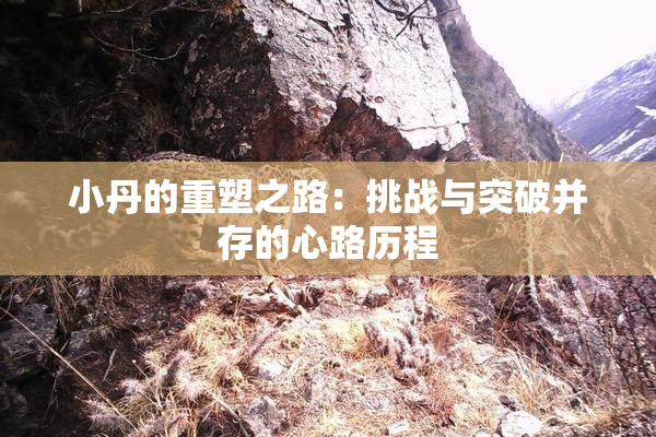 小丹的重塑之路：挑战与突破并存的心路历程