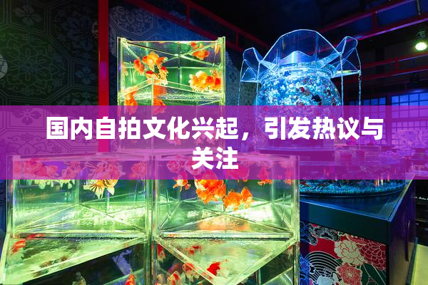 国内自拍文化兴起，引发热议与关注