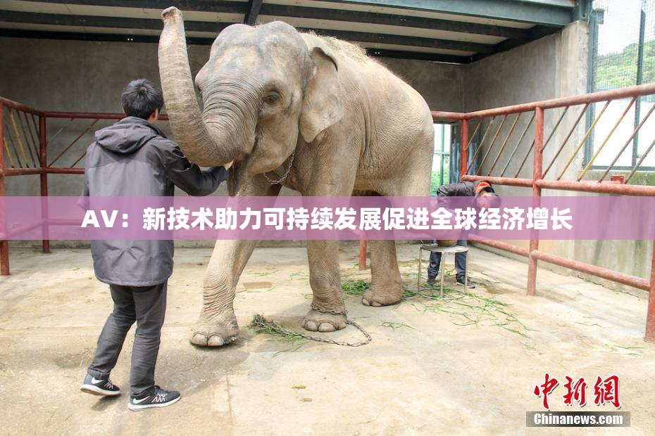 AV：新技术助力可持续发展促进全球经济增长