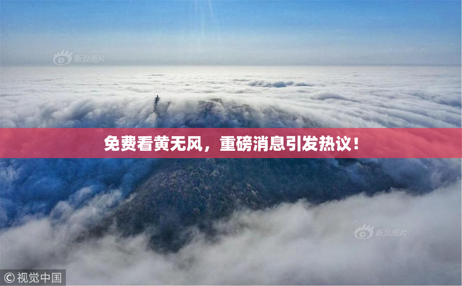 免费看黄无风，重磅消息引发热议！