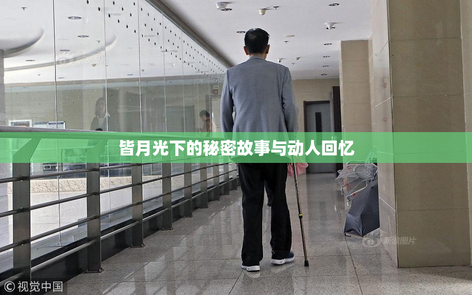 皆月光下的秘密故事与动人回忆