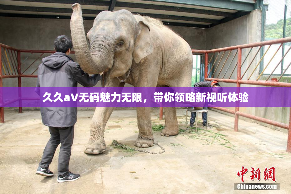 久久aV无码魅力无限，带你领略新视听体验