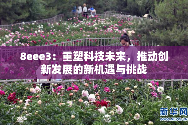 8eee3：重塑科技未来，推动创新发展的新机遇与挑战