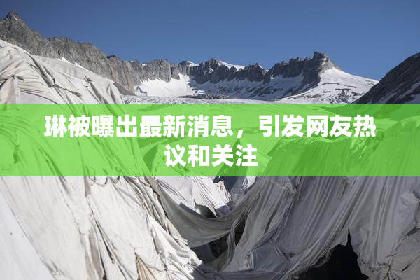 琳被曝出最新消息，引发网友热议和关注