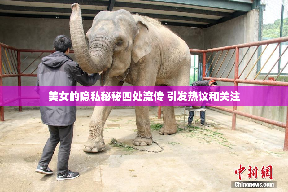 美女的隐私秘秘四处流传 引发热议和关注