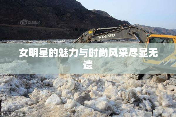女明星的魅力与时尚风采尽显无遗