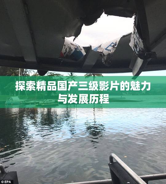 探索精品国产三级影片的魅力与发展历程