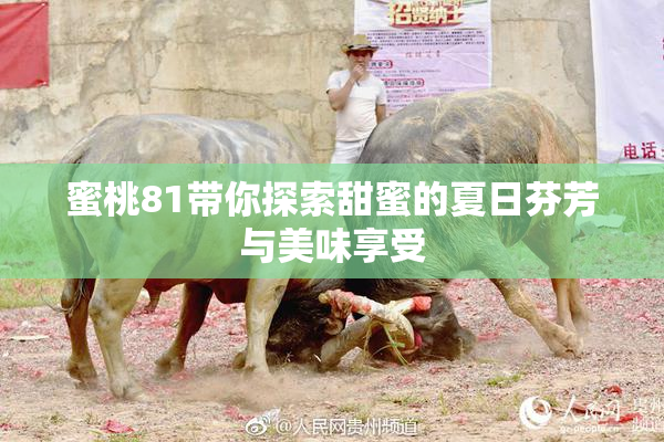 蜜桃81带你探索甜蜜的夏日芬芳与美味享受