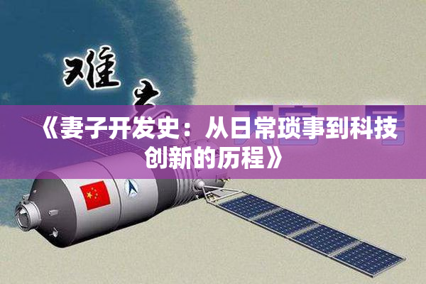 《妻子开发史：从日常琐事到科技创新的历程》