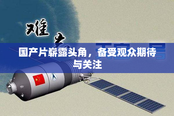 国产片崭露头角，备受观众期待与关注