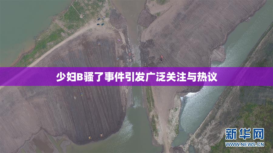 少妇B骚了事件引发广泛关注与热议