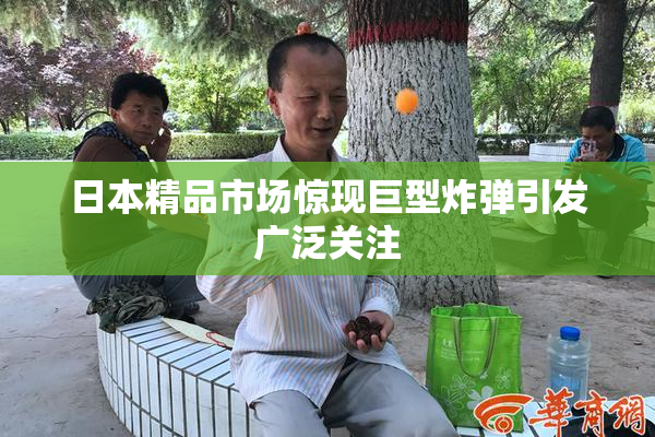 日本精品市场惊现巨型炸弹引发广泛关注