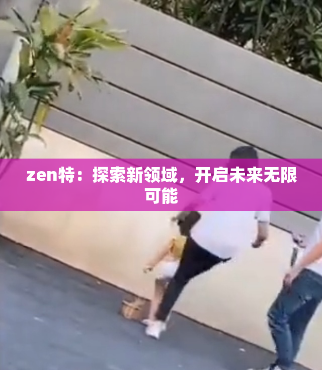 zen特：探索新领域，开启未来无限可能