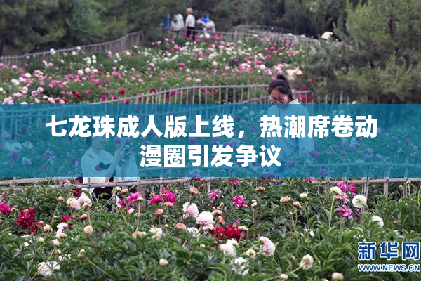 七龙珠成人版上线，热潮席卷动漫圈引发争议