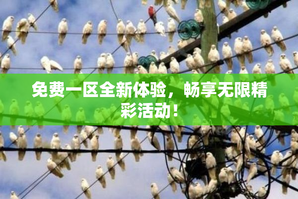 免费一区全新体验，畅享无限精彩活动！
