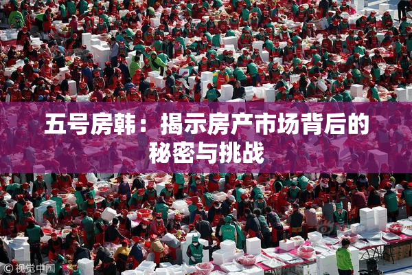 五号房韩：揭示房产市场背后的秘密与挑战