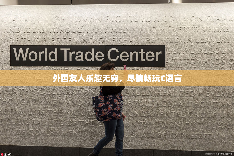 外国友人乐趣无穷，尽情畅玩C语言