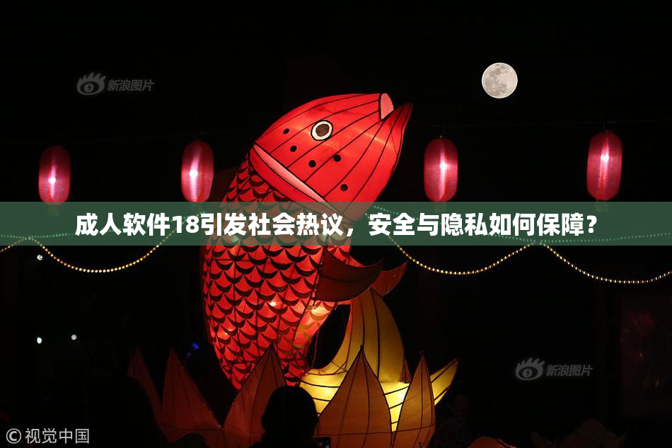 成人软件18引发社会热议，安全与隐私如何保障？