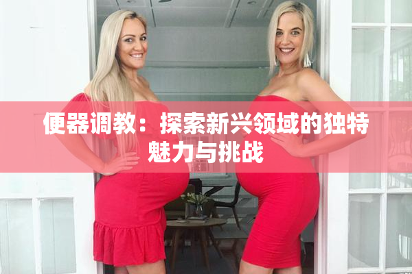 便器调教：探索新兴领域的独特魅力与挑战