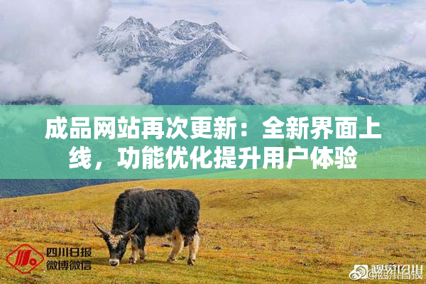 成品网站再次更新：全新界面上线，功能优化提升用户体验