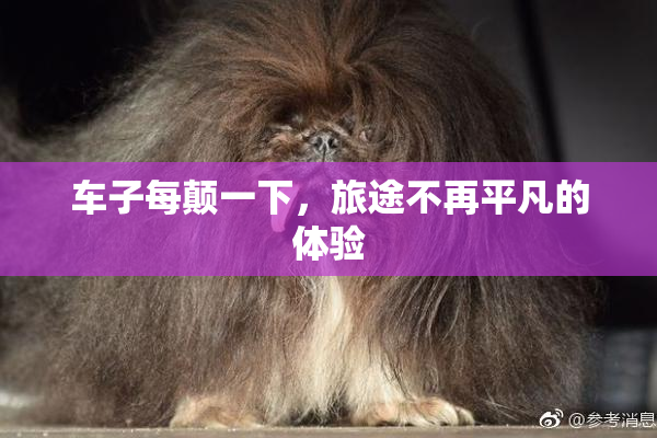 车子每颠一下，旅途不再平凡的体验
