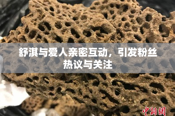 舒淇与爱人亲密互动，引发粉丝热议与关注