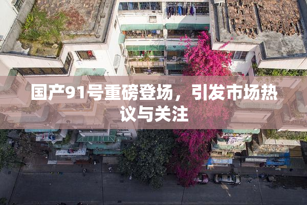 国产91号重磅登场，引发市场热议与关注