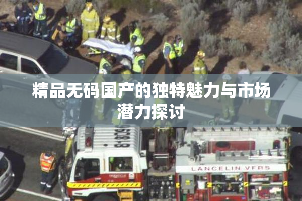 精品无码国产的独特魅力与市场潜力探讨