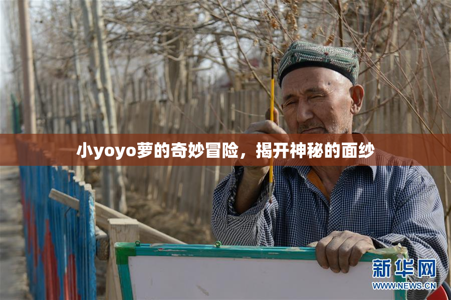 小yoyo萝的奇妙冒险，揭开神秘的面纱