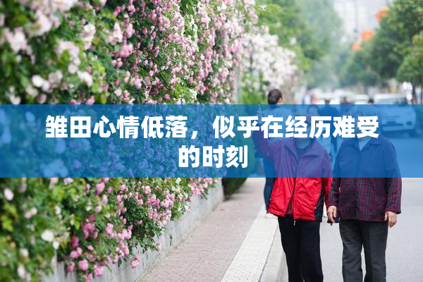 雏田心情低落，似乎在经历难受的时刻