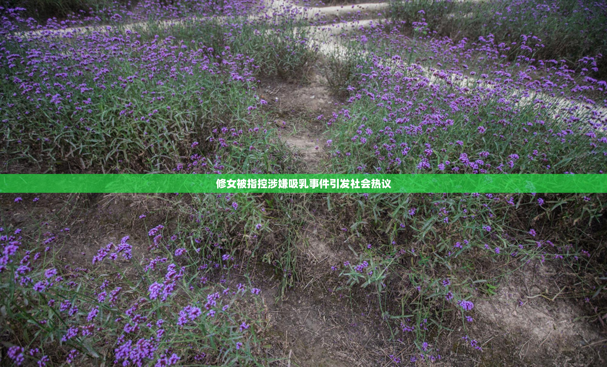 修女被指控涉嫌吸乳事件引发社会热议