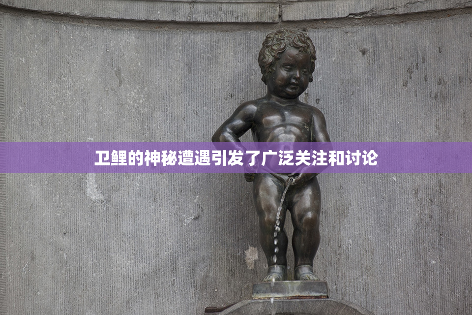 卫鲤的神秘遭遇引发了广泛关注和讨论