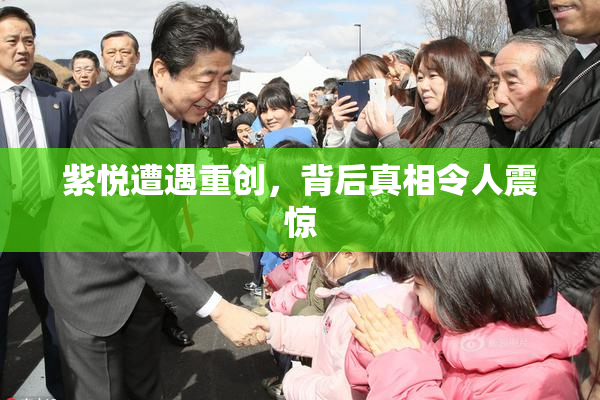 紫悦遭遇重创，背后真相令人震惊