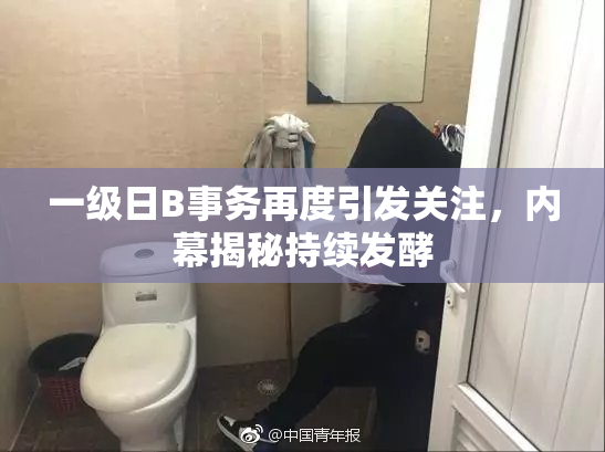 一级日B事务再度引发关注，内幕揭秘持续发酵
