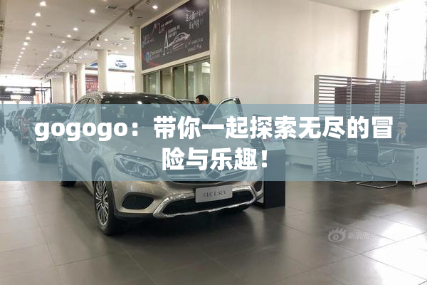 gogogo：带你一起探索无尽的冒险与乐趣！