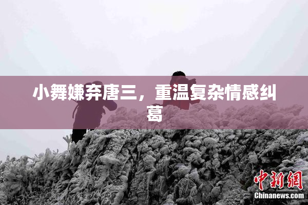 小舞嫌弃唐三，重温复杂情感纠葛