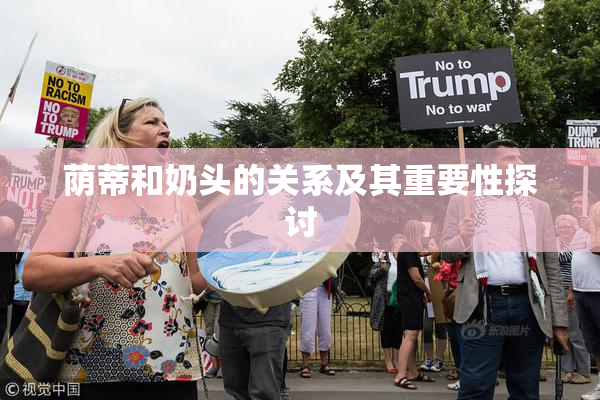 荫蒂和奶头的关系及其重要性探讨