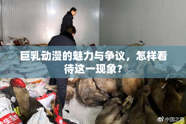 巨乳动漫的魅力与争议，怎样看待这一现象？