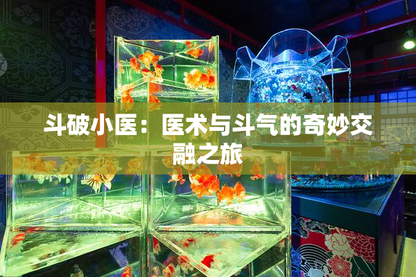 斗破小医：医术与斗气的奇妙交融之旅