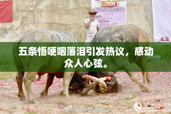 五条悟哽咽落泪引发热议，感动众人心弦。
